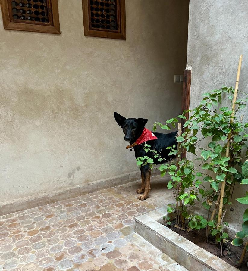 Riad Alena Marrakesh Exterior photo